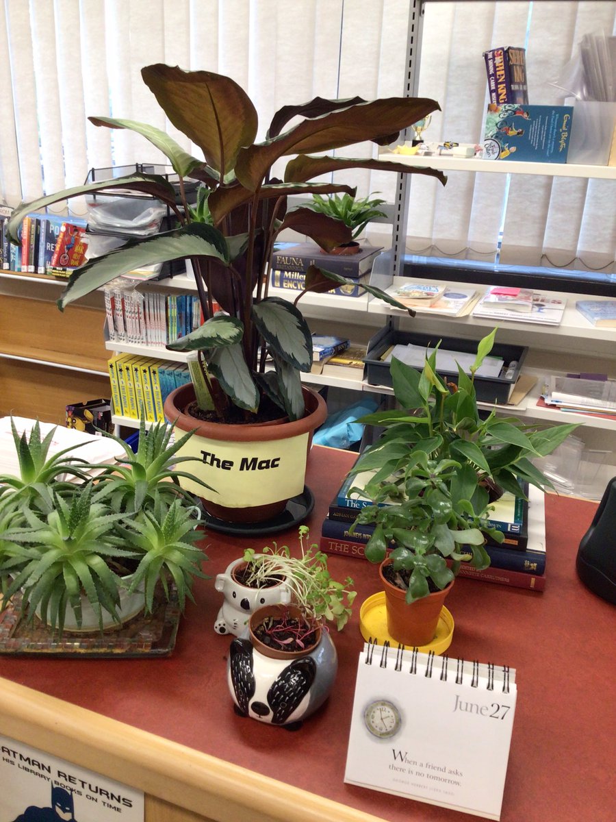 Librarians tweet media