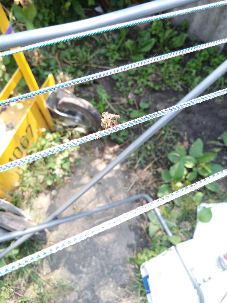 хлібослав 🇺🇦🏴 tweet media