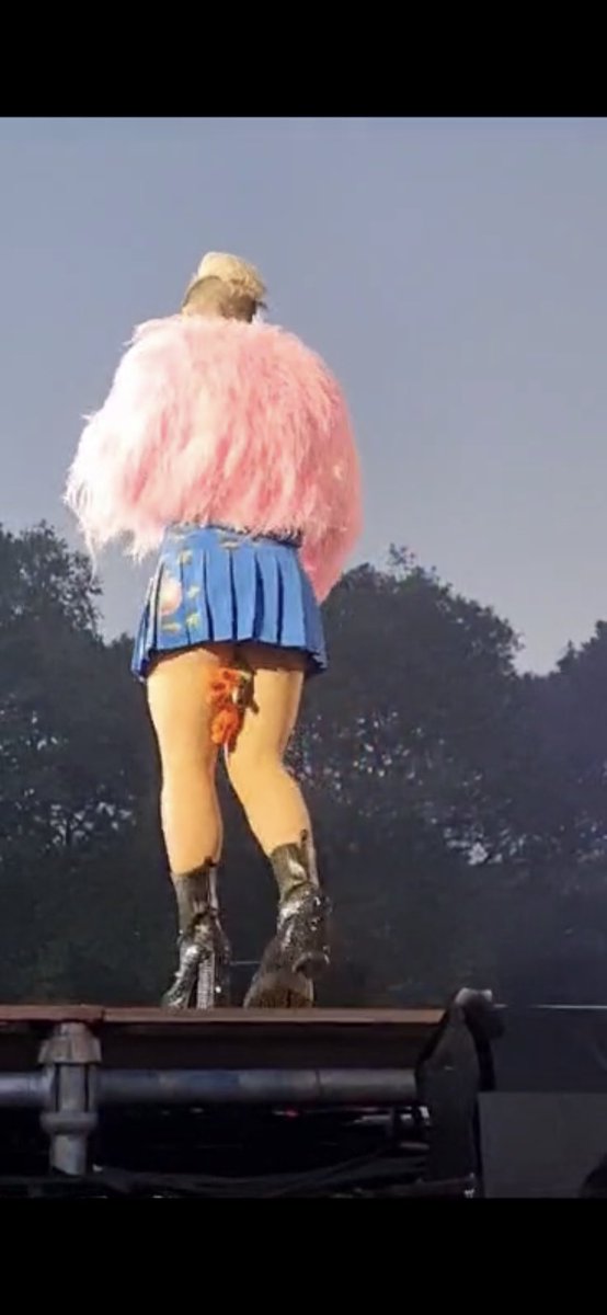 Thank you <a href="/Pink/">P!nk</a> for what I can honestly say was the best I’ve ever seen you (and I’ve seen you a lot)! Hyde Park weekend, 2 amazing shows, amazing people! Hope my Froggie finds a good home 😉
See you in Warsaw for our last night(gonna be emotional) 😩 #7shows  #pink #BSTHydePark