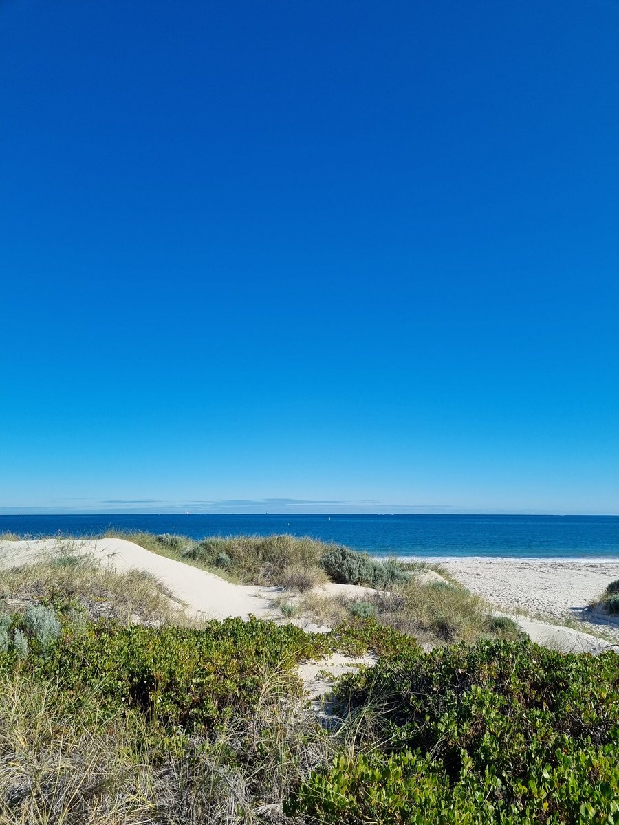 Anyway, here's a pic from today that could easily pass for a summer scene but is actually from a cold but clear Perth winter's day 💙