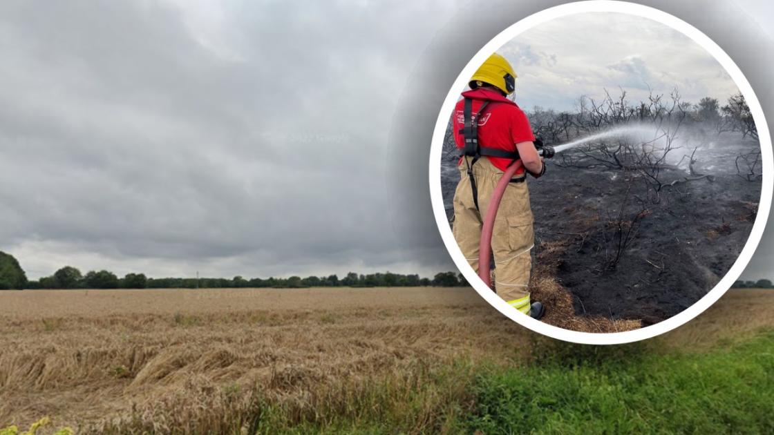 North Norfolk News tweet media