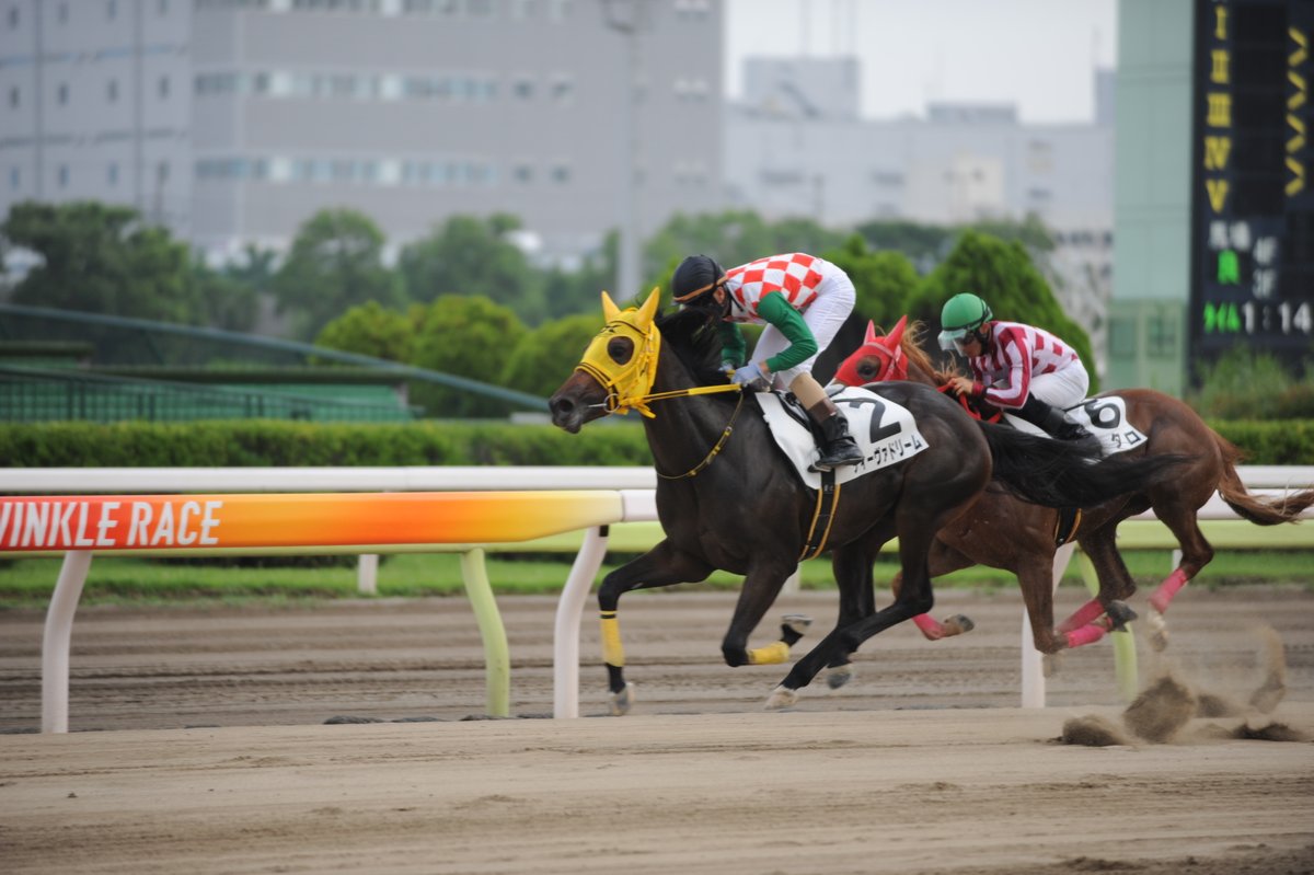 東京シティ競馬 (TCK) on X