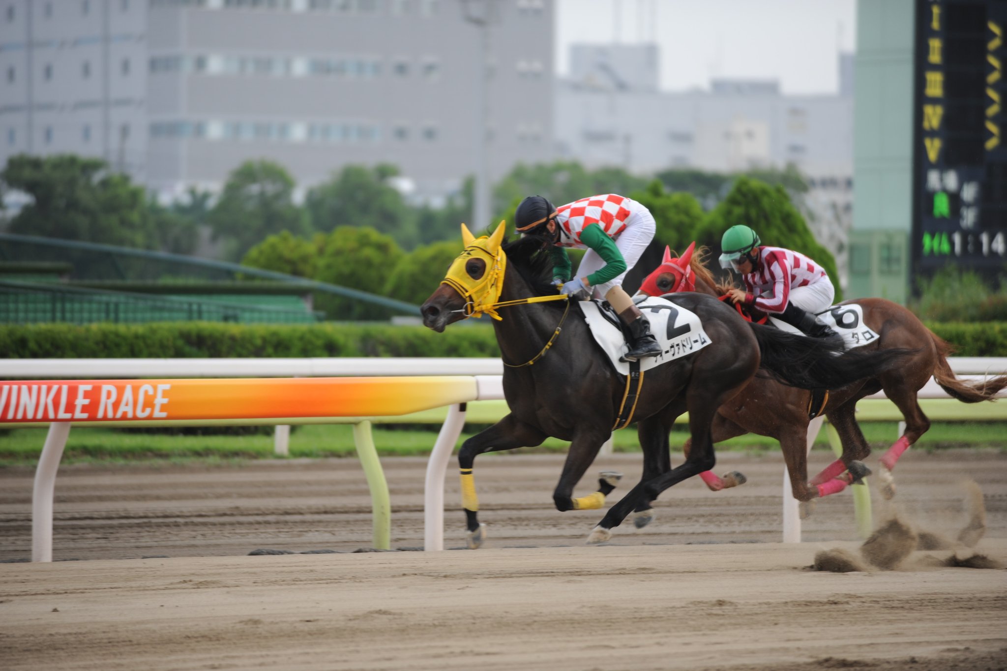 東京シティ競馬 (TCK) on X: 