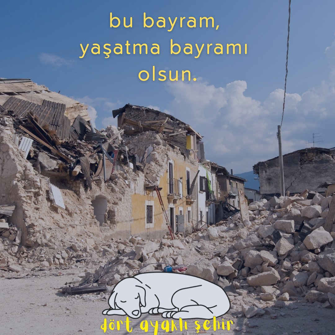 Bu bayram, yaşatma, hayatta kalanlara destek bayramı.🌿 Depremzede bir canın tedavisine destek verin. Bağış için: Dört Ayaklı Şehir Kent, Doğa, Hayvan Çalışmaları Derneği IBAN: TR 37 0001 5001 5800 7320 94 2162 (açıklama: bayram bağışı) 🌻