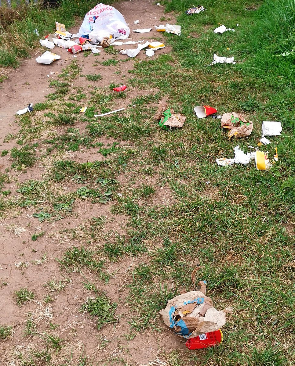 thecameramonkey's tweet photo. @McDonaldsUK, quite a mess isn't it? Lower Grove Road BS16 2BS, just a few hundred metres from your Fishponds Rd branch. Please take it away ASAP 🍔🍟 https://t.co/x29i2r1F5L