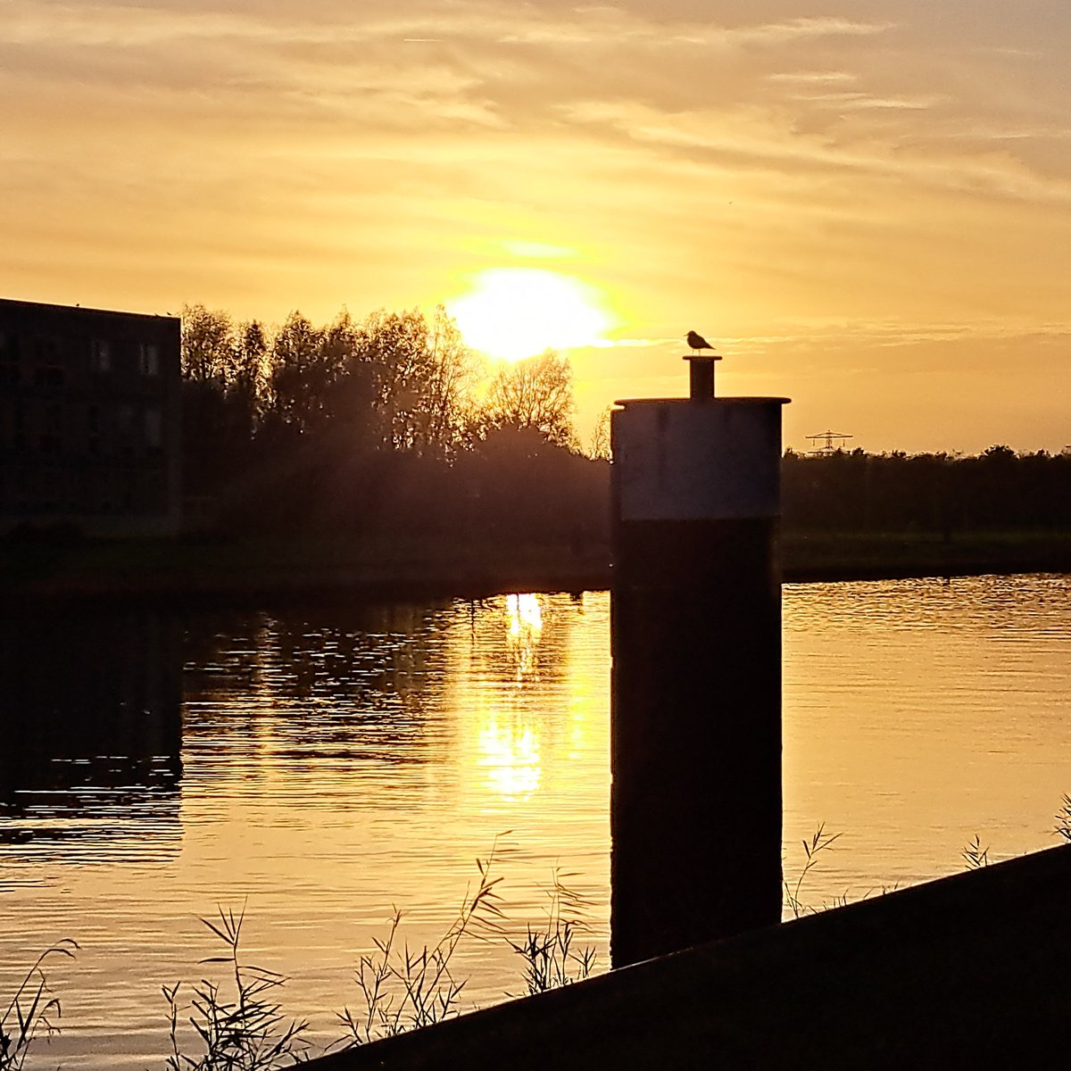 @jolandabrwr #zomerzon #fotozomerweken  
Van Harinxmakanaal Leeuwarden