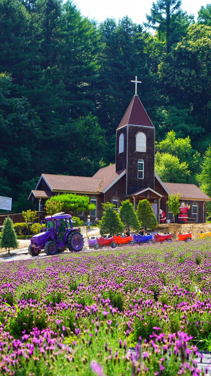 Herb Island in Pocheon is a botanical-themed park known for its beautiful herb gardens, herb museum, DIY activities, and much more.
📍Herb Island,  
 #HerbIsland  #summercolors  #2023EGtourbus #EGtourbus #Gyeonggi #Gyeonggi_tour #OhMyGyeonggi #OhMyGyeonggi2023 #허브아일랜드