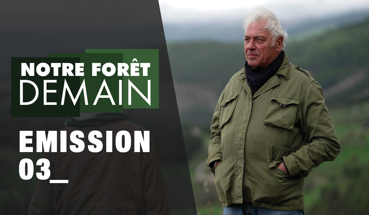 🌳#NotreForêtDemain REPLAY de l’épisode 3 diffusée sur <a href="/C8TV/">C8</a> disponible !
❓Pour mieux comprendre la filière #forêtbois ➡️youtu.be/fBDcmfKn01E 
📺A regarder aussi sur myCANAL et TVmaison
👏À vos likes ici et sur YouTube !
🗓️ Prochain épisode : le 30/09
#LaForêtEnsemble #forêt