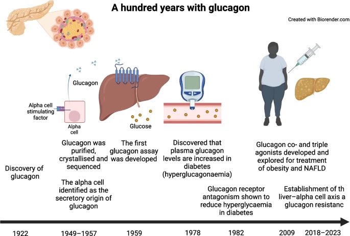 Daniel J Drucker (@danieljdrucker) on Twitter photo The latest glucagon review <a href="/DiabetologiaJnl/">Diabetologia</a> <a href="/nicwin98/">Nicolai J. Wewer Albrechtsen</a> #diabetes #obesity link.springer.com/article/10.100… The latest glucagon review <a href="/DiabetologiaJnl/">Diabetologia</a> <a href="/nicwin98/">Nicolai J. Wewer Albrechtsen</a> #diabetes #obesity link.springer.com/article/10.100…