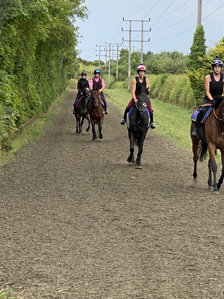 Gay Kelleway Racing On Twitter 2 Year Old Fillies Coming On Great gay-kelleway-racing-on-twitter-2-year-old-fillies-coming-on-great