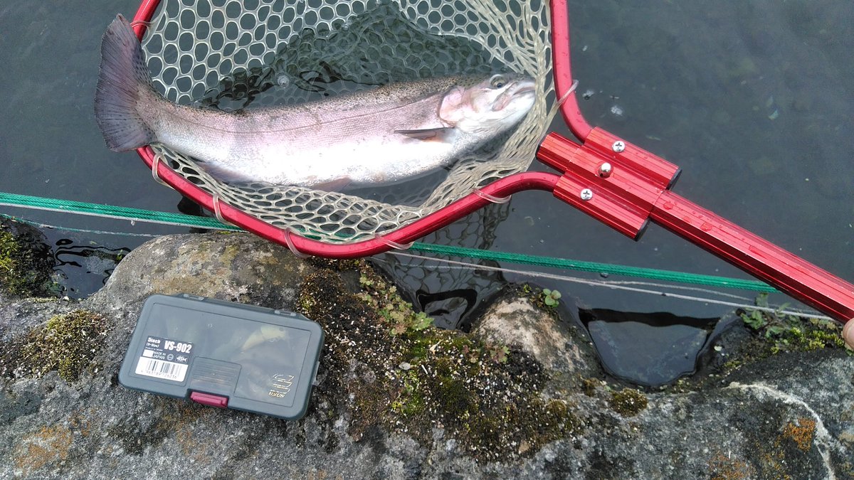 noburons's tweet photo. 昨日の遊び場🎣😃
もう　何センチの魚　何匹釣れたよりも　椅子の座り心地が良く💺😄
　ヘラブナ釣りやってた頃のヘラ台を思いだしました🐟🤔　

管理されてる方の知恵を探すのが　マイブーム😄🎉 https://t.co/sDLWrsR0Ou