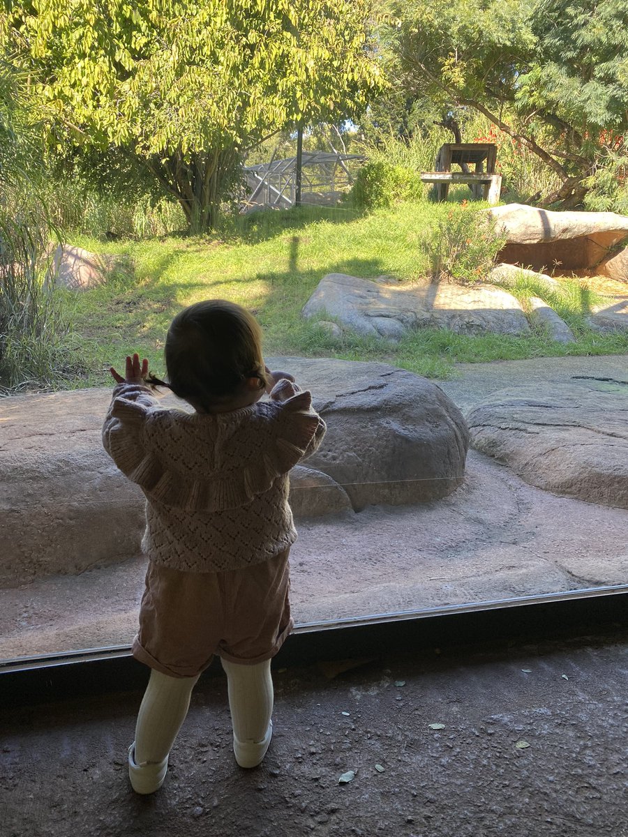 Discovery and wonder today at Perth Zoo with my little explorer  <a href="/PerthZoo/">Perth Zoo</a>