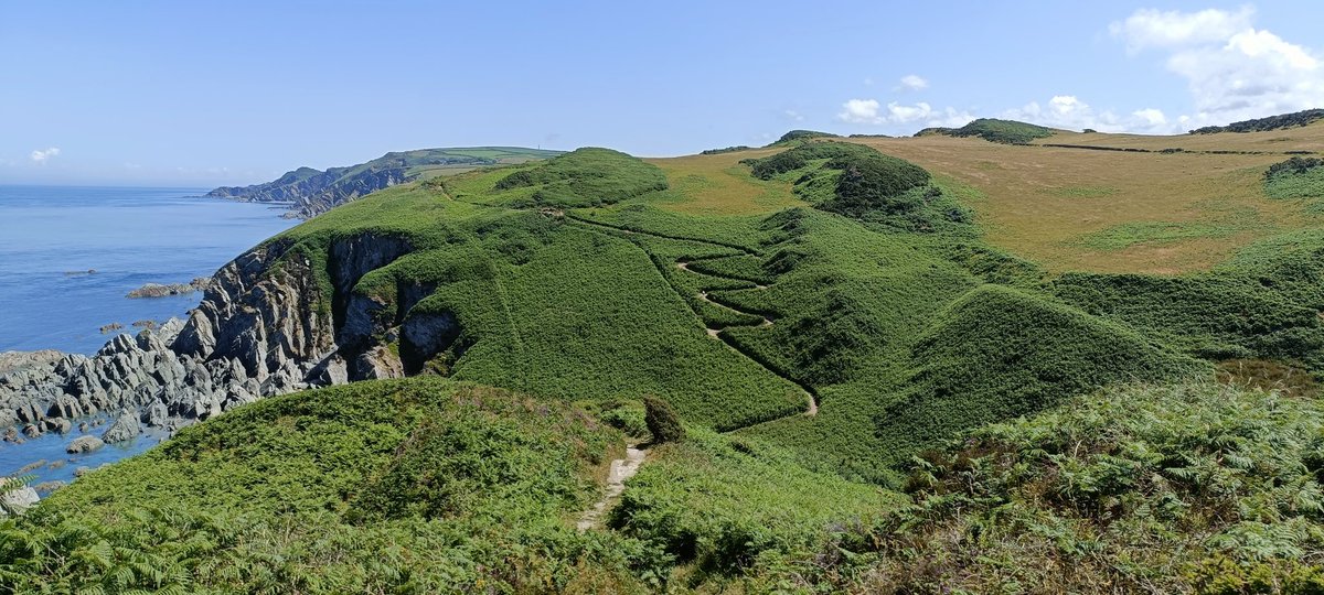 PiedATerreAdventures tweet media