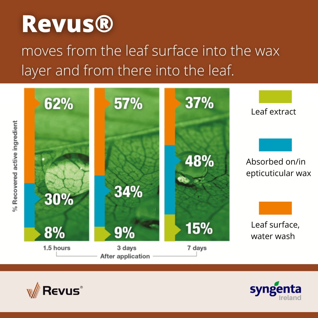 SyngentaIrl's tweet image. Revus delivers!
 📈Consistent performance. 
⭐ Outstanding new growth protection.
🌧️ Excellent rainfastness.

#Tillage #PotatoBlight