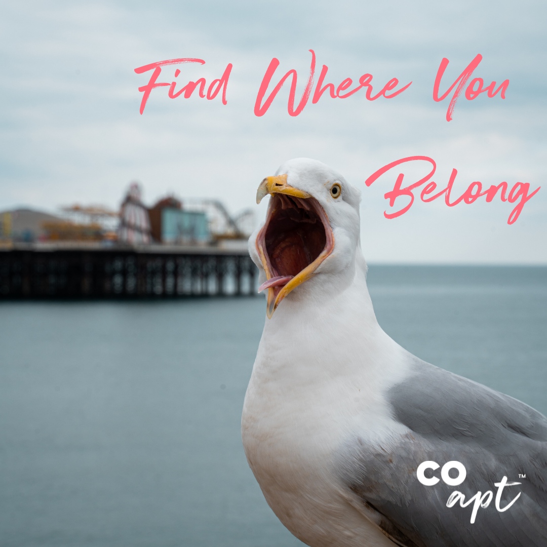 Find where you belong with Coapt⁠
⁠
🏡  coapt.co.uk/students/ 
⁠
#eastsussex #brighton #brightonandhove #sunset #home #belong #lettings #property #findwhereyoubelong