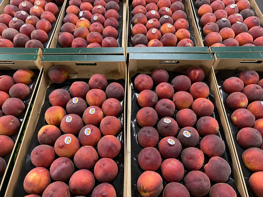 Fruco_plc's tweet photo. Fresh out of Spain we have these stunning peaches, flat peaches and nectarines, as ever we only use top quality brands here at Fruco! Call us on 01580 232300 to secure your order. https://t.co/171d0sTo8U
