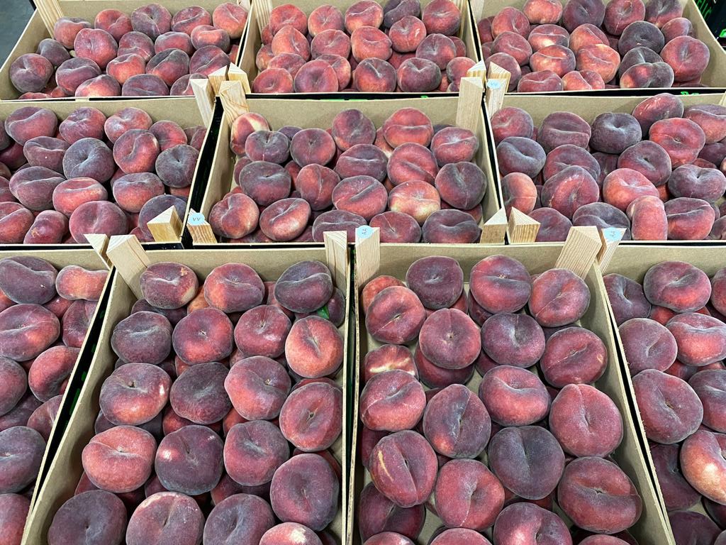 Fresh out of Spain we have these stunning peaches, flat peaches and nectarines, as ever we only use top quality brands here at Fruco! Call us on 01580 232300 to secure your order.