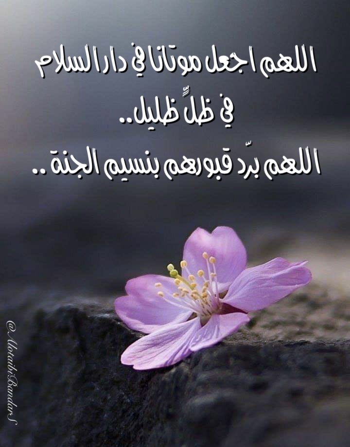 #ساعه_استجابه_بيوم_الامنيات
#دعاء_للميت #ساعة_استجابة #عرفة #يوم_عرفة
..🌸

 اللهم اجعل موتانا في دار السلام
في ظلٍّ ظليل..
اللهم برّد قبورهم بنسيم الجنة ..

<a href="/Sa1357ah/">Sa1357</a>
<a href="/misferalassaf/">صدقة جارية للمرحوم مسفر العتيبي</a> <a href="/mosem01/">صدقة جاريه للمرحوم موسم بن عساف العتيبي</a> <a href="/Turkeyyalotaibi/">صدقه لفيحان العبود</a> <a href="/aishahzwairi/">صدقةعن عايشة القثامي</a> <a href="/19Munerah/">صدقة جارية للمرحومة منيره العتيبي</a> <a href="/haifa2322/">صدقه لـ بدرا وفيحان وهيفاء وريم العبوّد وهيا حسين</a> <a href="/Tarfa432/">اللهم ارحم ترفه بنت مسلط العبود.</a> <a href="/Reem_al_abood/">صدقه جاريه لـ فيحان وبدره وهيفاء وريم العبوّد</a>