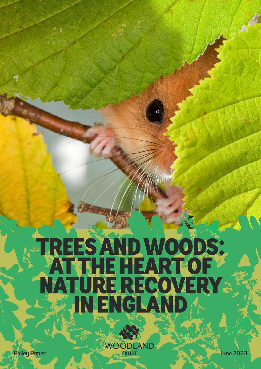 📢Today we've launched our #NatureRecovery in England report at the #APPG for Woods and Trees: bit.ly/3r8RWTG

🌳We are in a #NatureCrisis, but our report shows the vital role that woods and #trees can play in nature recovery across England.

/1