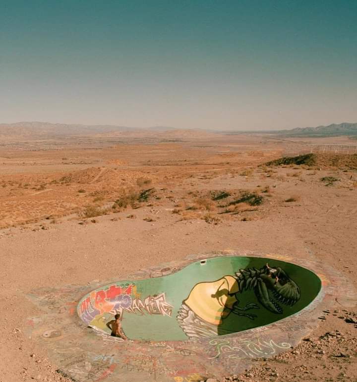 🛹 The Nude Bowl // Whitewater, California