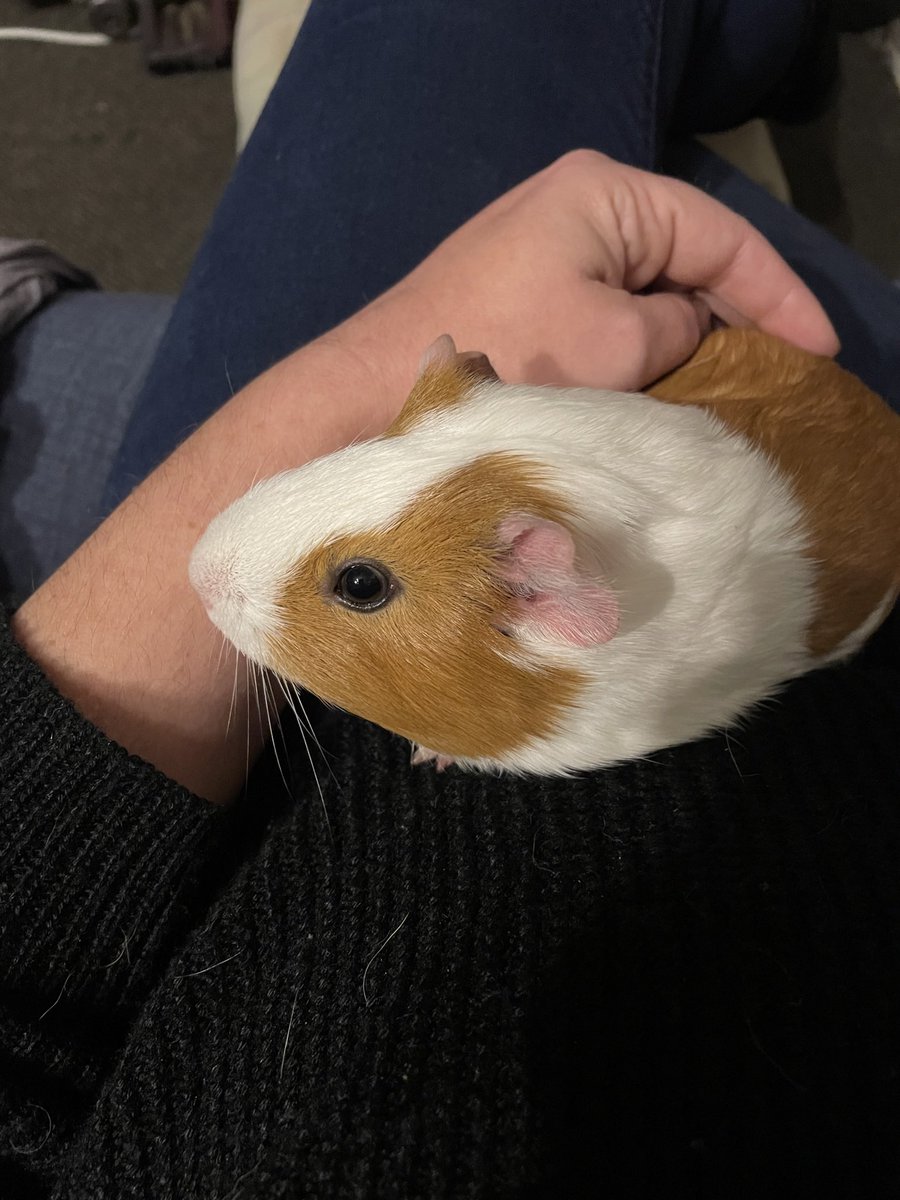 Meep Mama’s Sister tweet media