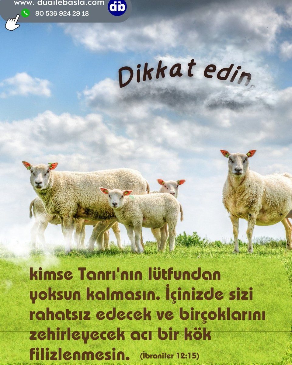 Duailebasla's tweet photo. Herkesle barış içinde yaşamaya, kutsal olmaya gayret edin. Kutsallığa sahip olmadan kimse Rab’bi göremeyecek. Dikkat edin, kimse Tanrı’nın lütfundan yoksun kalmasın.(İbr.12:14-15)
#prayer #kuzu #jesus #kurban #JesusChrist #Turkey #hope #Life #yaşam #kutsal #iyi #Gospel #Turkiye https://t.co/4LMJlLXHMB
