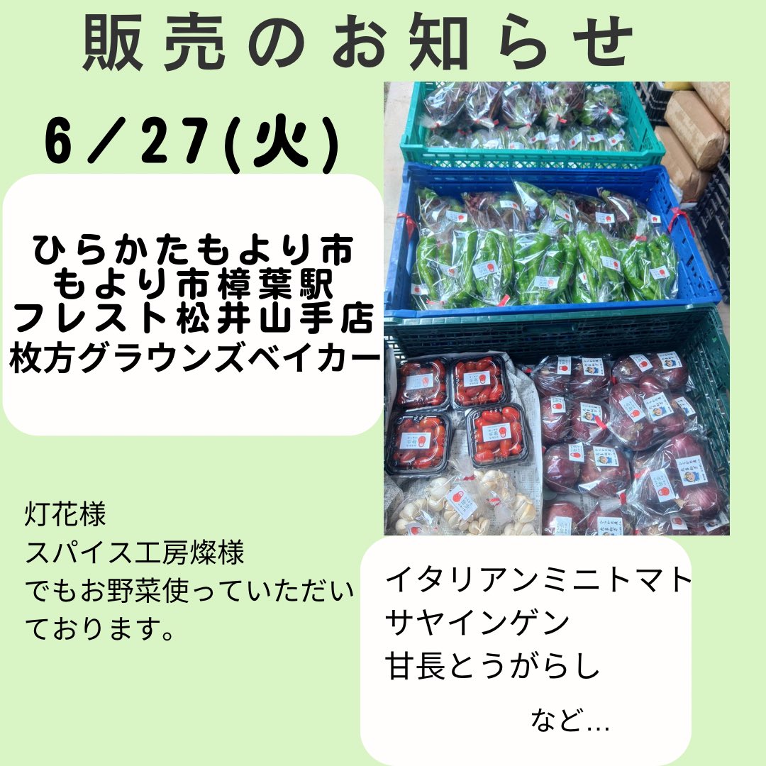 doppo_farm's tweet photo. 本日も新鮮なお野菜を出荷いたしました！
イタリアンミニトマト、サヤインゲン、甘長とうがらし、赤タマネギなどをお求めいただけます😊
#ひらかた独歩ふぁーむ
#穂谷
#有機農業
#枚方市
#野菜 https://t.co/JF59ujH9lw