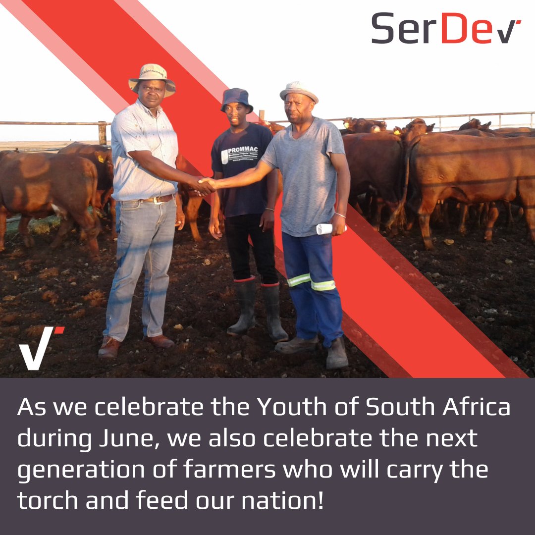💼 Planning for a smooth transition? Create a formal succession plan that outlines crucial details such as ownership, management, and financial arrangements. Avoid conflicts and ensure a sustainable future for your farm.

Read more: serdev.co.za/how-to-pass-on…