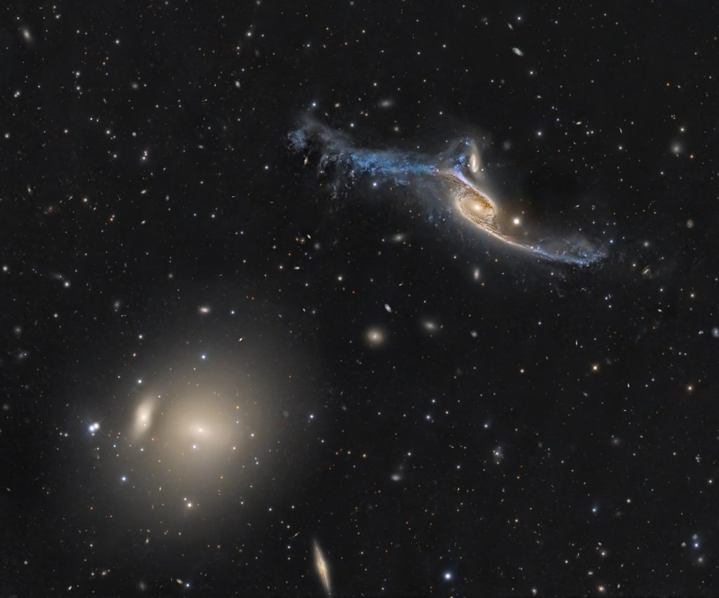 IFOLLOWBACK110K's tweet photo. Giant galaxies in Pavo. https://t.co/0FUoUHavqs #apod https://t.co/Y6juV63vJz