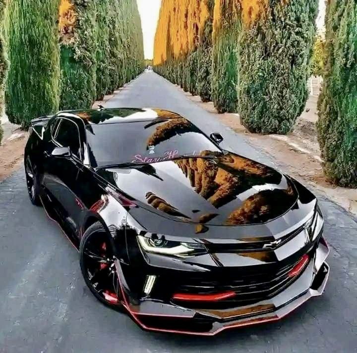 Are you driving this Chevrolet Camaro 🖤 in your hometown? 🤔