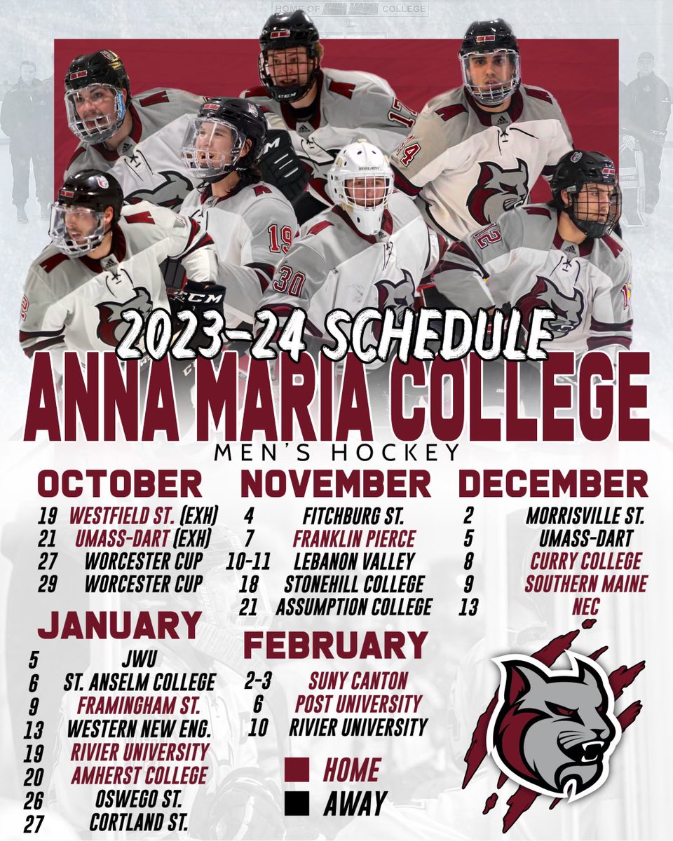 AMC MEN’S HOCKEY tweet media