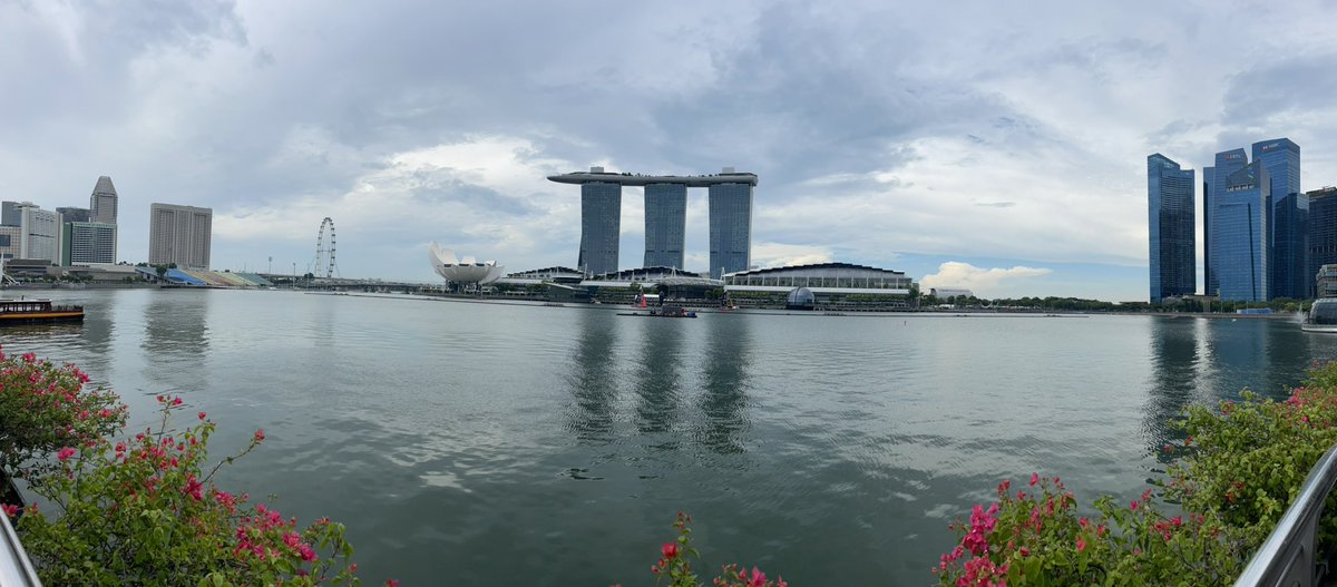 Dr Taylor Whitman tweet media