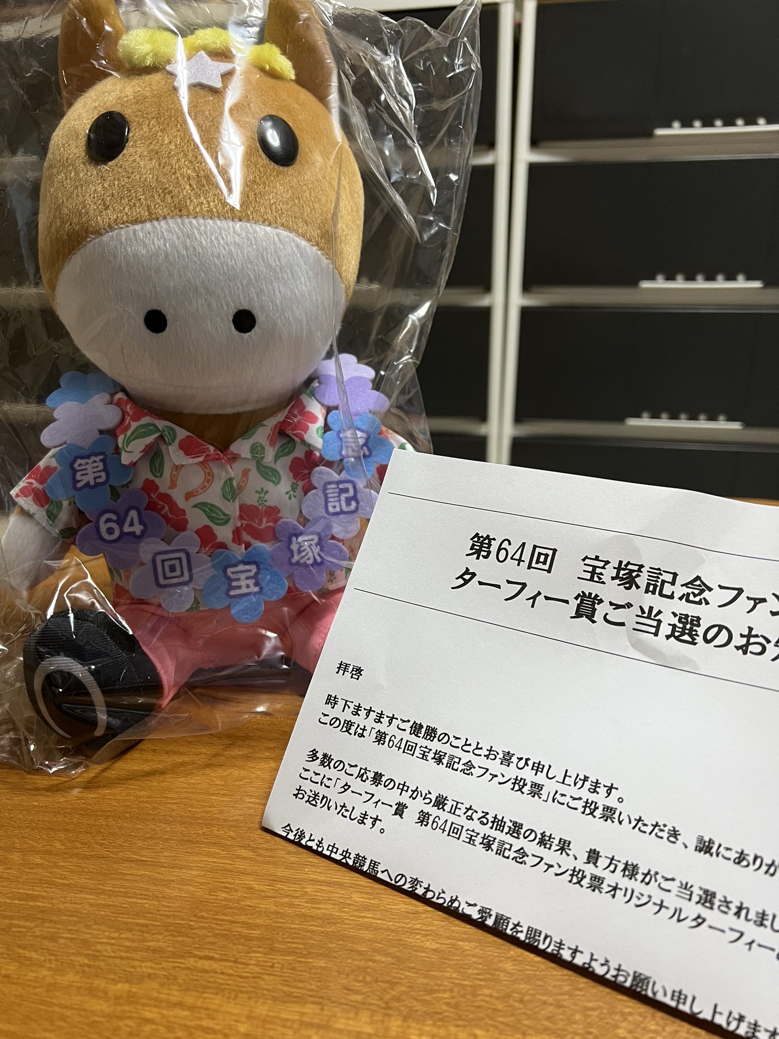 ゆずこ又はねこらいむ on X: 