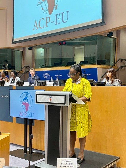 🔛🗺️ @EU_EESC is attending ACP-EU Joint Parliamentary Assembly at @Europarl_EN 

@EESC_REX President @Diridi2 & Dr Sifa Chiyoge from @ICA_AFRICA1 have just reported on the work of #CivilSociety

📢We strongly support JPA's call for a swift signature of #postCotonou Agreement