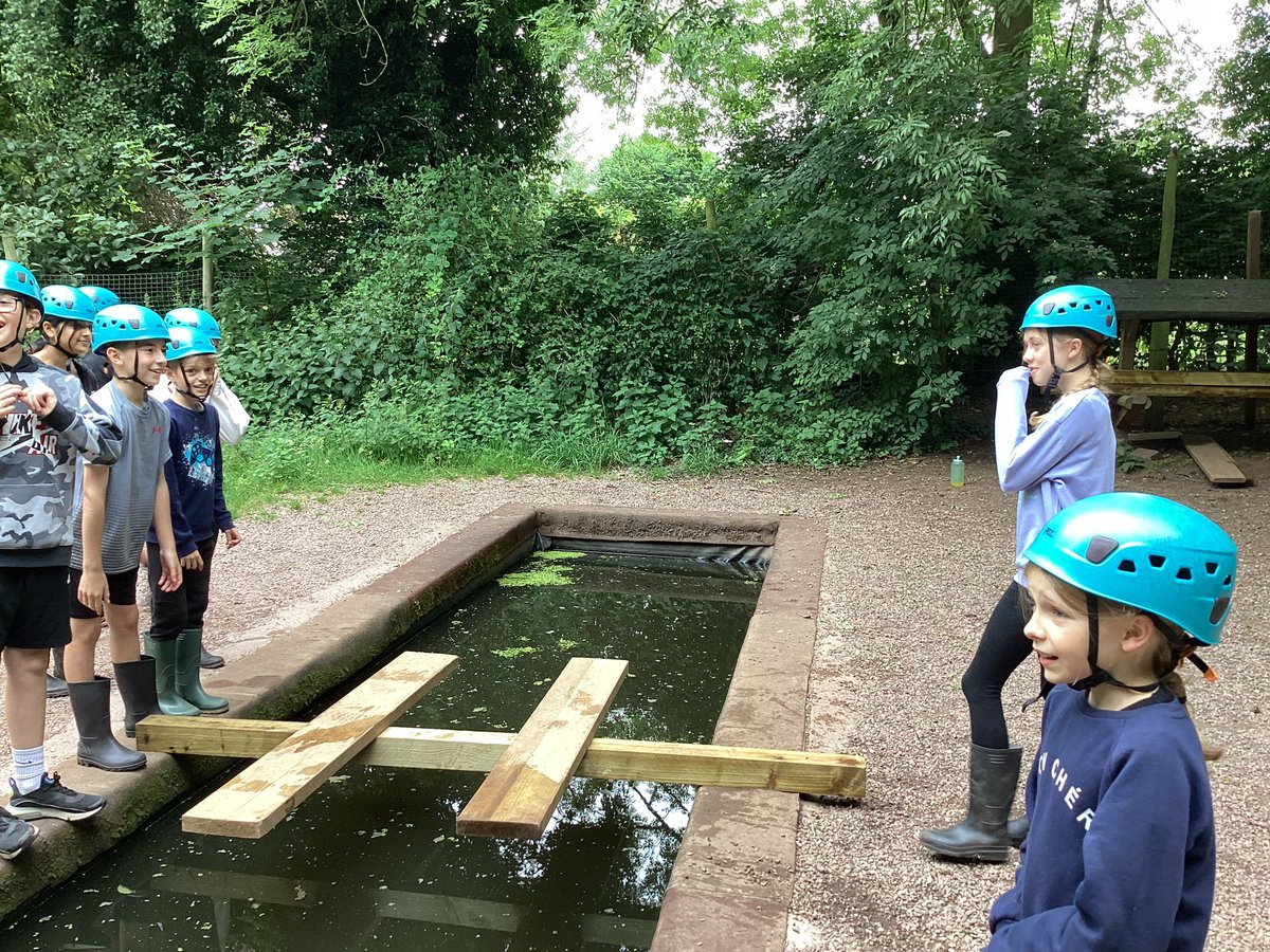 StThomasCofEAcademy tweet media