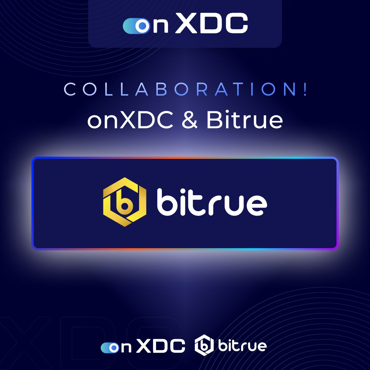 onXDC🚀 tweet media