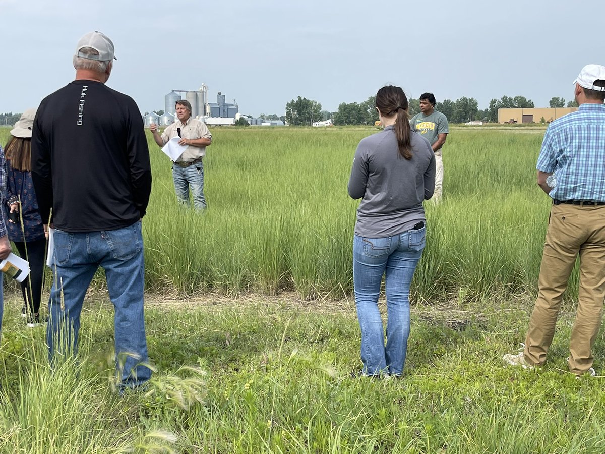 KateLandeis's tweet image. Not a single annual crop will grow in an EC from 5-30 like a salt tolerant grass. 

Consider where you can use salt tolerant perennial grasses strategically across the farm too reduce annual inputs and help reduce salts, typically along wetland areas/headlands.