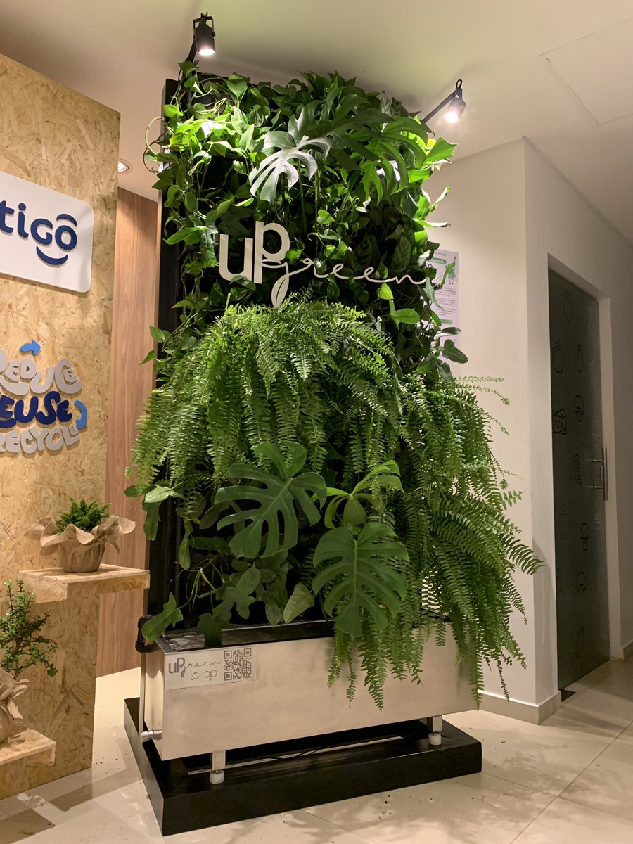 Upgreen Jardines Verticales tweet media