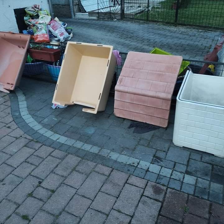 prijedoremergen's tweet photo. Due ragazzi di 10 anni sono arrivati nel ns rifugio x aiutare i cagnolini. In un solo pomeriggio sono riusciti a dare una lezione ad ogni adulto in grado di dimenticarsi di queste anime x loro era importante che questi cagnolini fossero felici, e lo sono stati sicuramente 🥹❤️ https://t.co/04VbTpmhiv