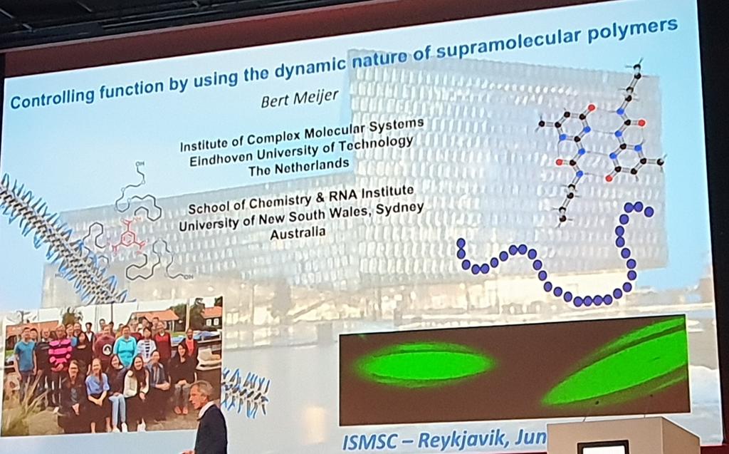 Next up here at #ISMSC2023 is Bert Meijer from @TUeindhoven @UNSWRNA who will talk about the latest developments in supramolecular polymer research in his group.