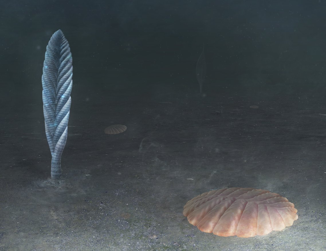 Ross Anderson tweet media