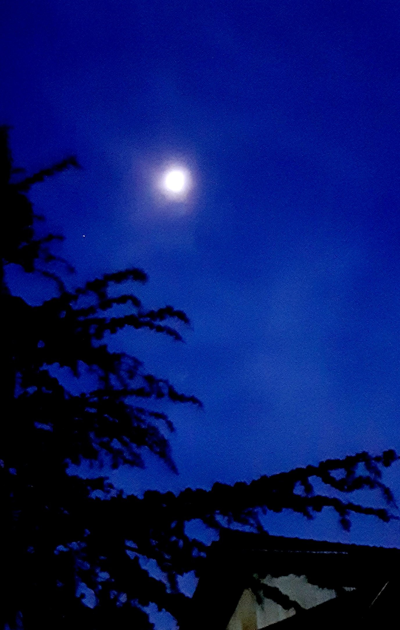 上弦の月は昨日 - Search / X