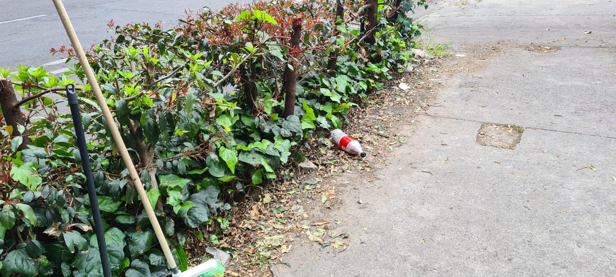 AsoResiChico's tweet photo. Tener calles limpias y espacios aseados es primordial para la ciudadanía🌳

ARCHI barrió la zona de domicilio del comercio @ElCorral_  @PapaJohns  ubicado en la carrera 18 con calle 90. Invitamos a los comercios a tener aseados los espacios externos de sus establecimientos https://t.co/aj7mH6sN8j
