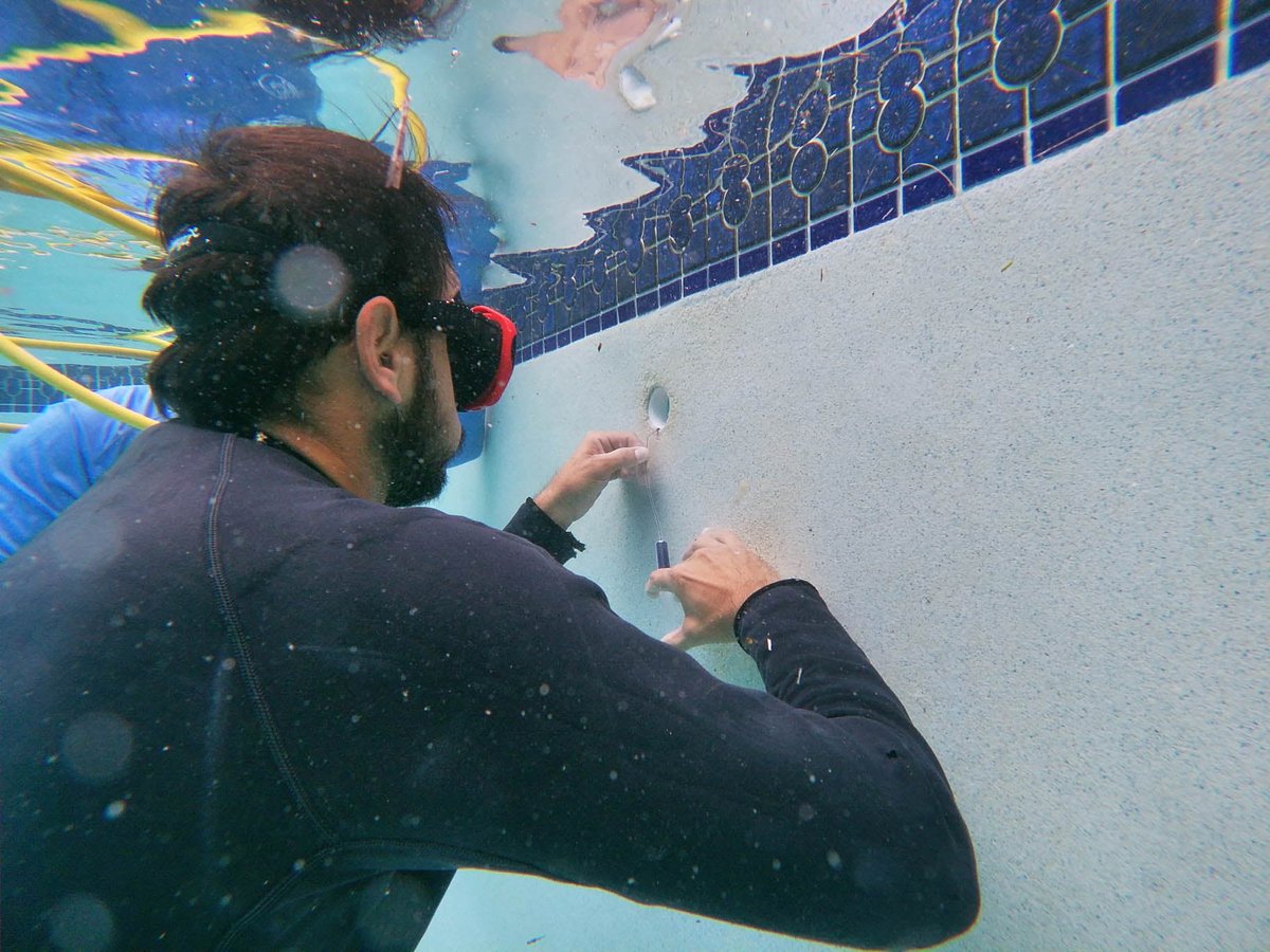 bluetekpool's tweet image. Rest assured that no matter the issue, with Bluetek Pool Solutions you'll be able to enjoy your pool again in no time. Request a pool repair quote by calling (754) 714-4133.

#PoolRepairs bit.ly/3ZLEcL6