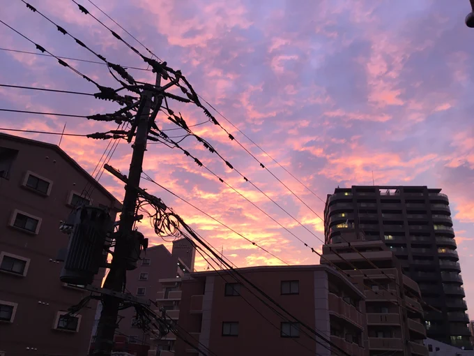 あなたを思いだす  この歌を聴く度  帰りの車の中  いつも流れてた  悲しい恋なんてないと  あなたはぽつりと言った  愛せたこと  それだけで  しあわせなんだと  #90年代 #劇場版 #アニメ #天地無用 #inLove2 #杏里 #LoveSongが聞こえる