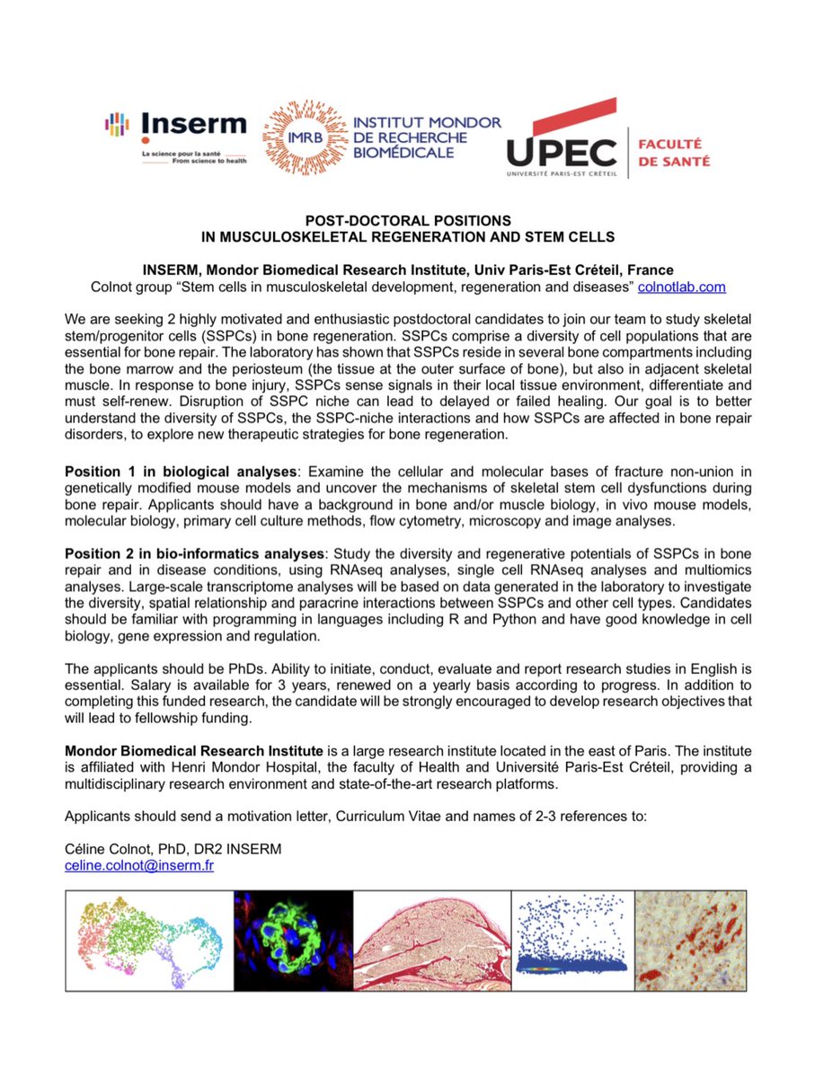 ColnotLab tweet media