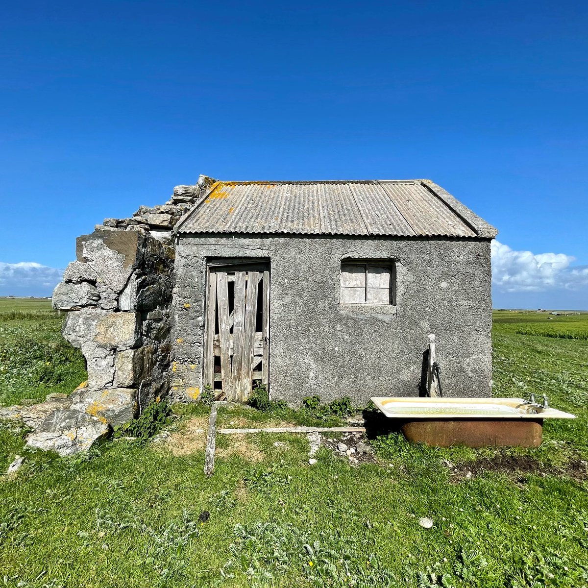 So much character in this wee Iochdair outbuilding. And always nice to see a bathtub drinker #SouthUist #Crofting