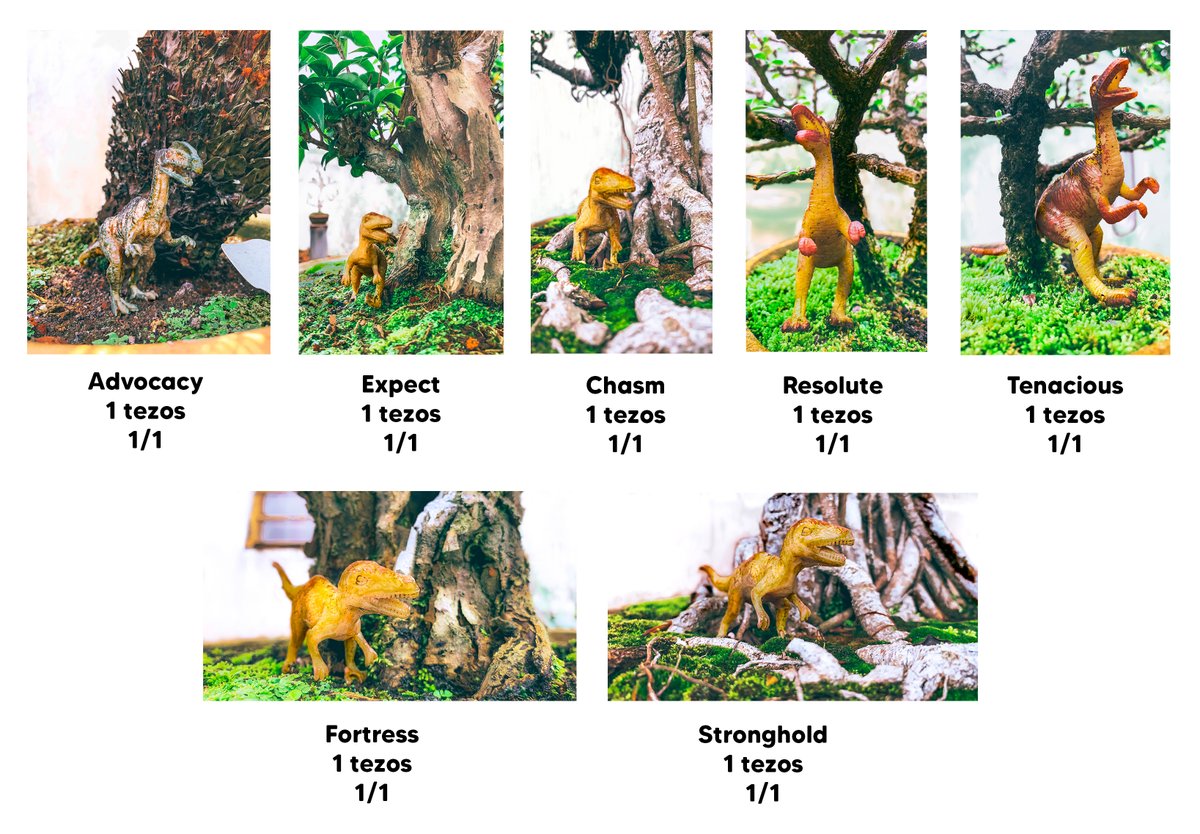 kenakongsi's tweet image. 💚GM 

#tezostuesday     

Happy Tuesday Everyone🦕
 #photography📸 of bonsai scenery decorated with mini dinosaur miniature💚

These are available on @objktcom 

Details 🔗
objkt.com/profile/tz1T4C…