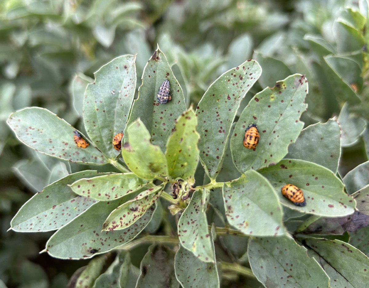 Ben Taylor-Davies tweet media