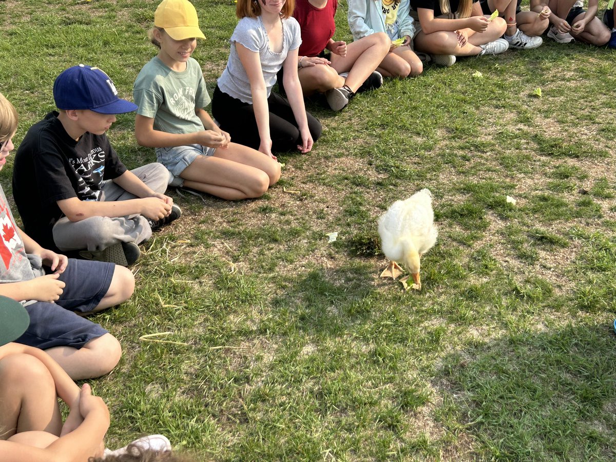 JMDemko School tweet media